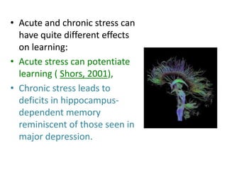 • Acute and chronic stress can
  have quite different effects
  on learning:
• Acute stress can potentiate
  learning ( Shors, 2001),
• Chronic stress leads to
  deficits in hippocampus-
  dependent memory
  reminiscent of those seen in
  major depression.
 