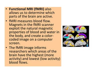 • Functional MRI (fMRI) also
  allows us to determine which
  parts of the brain are active.
• fMRI measures blood flow.
  Magnets in the fMRI scanner
  exploit the natural magnetic
  properties of blood and water in
  the body, and create a color-
  coded image on a computer
  screen.
• The fMRI image informs
  researchers which areas of the
  brain have the highest (more
  activity) and lowest (low activity)
  blood flows.
 