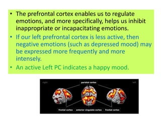 • The prefrontal cortex enables us to regulate
  emotions, and more specifically, helps us inhibit
  inappropriate or incapacitating emotions.
• If our left prefrontal cortex is less active, then
  negative emotions (such as depressed mood) may
  be expressed more frequently and more
  intensely.
• An active Left PC indicates a happy mood.
 
