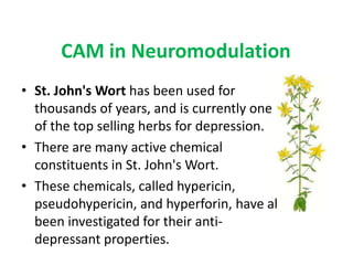CAM in Neuromodulation
• St. John's Wort has been used for
  thousands of years, and is currently one
  of the top selling herbs for depression.
• There are many active chemical
  constituents in St. John's Wort.
• These chemicals, called hypericin,
  pseudohypericin, and hyperforin, have all
  been investigated for their anti-
  depressant properties.
 