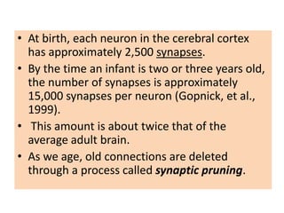 • At birth, each neuron in the cerebral cortex
  has approximately 2,500 synapses.
• By the time an infant is two or three years old,
  the number of synapses is approximately
  15,000 synapses per neuron (Gopnick, et al.,
  1999).
• This amount is about twice that of the
  average adult brain.
• As we age, old connections are deleted
  through a process called synaptic pruning.
 