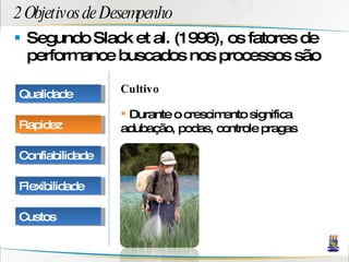 2 Objetivos de Desempenho Segundo Slack et al. (1996), os fatores de performance buscados nos processos são Cultivo Durante o crescimento significa adubação, podas, controle pragas Qualidade Rapidez Confiabilidade Flexibilidade Custos 