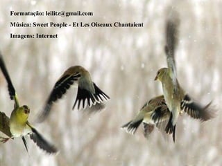Formatação: leilitz@gmail.com
Música: Sweet People - Et Les Oiseaux Chantaient
Imagens: Internet
 