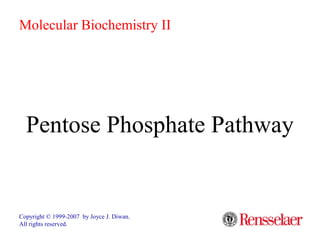 Pentose Phosphate Pathway
Copyright © 1999-2007 by Joyce J. Diwan.
All rights reserved.
Molecular Biochemistry II
 