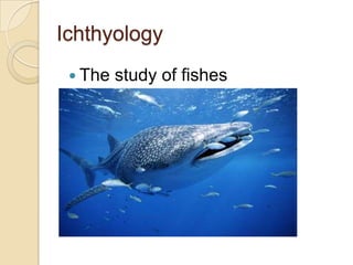 IchthyologyThe study of fishes