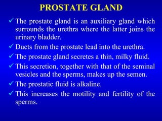 PROSTATE GLAND <ul><li>The prostate gland is an auxiliary gland which surrounds the urethra where the latter joins the uri...