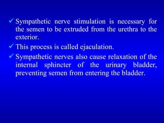 <ul><li>Sympathetic nerve stimulation is necessary for the semen to be extruded from the urethra to the exterior. </li></u...