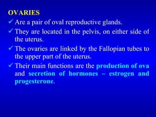 <ul><li>OVARIES </li></ul><ul><li>Are a pair of oval reproductive glands. </li></ul><ul><li>They are located in the pelvis...