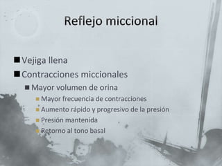 Vejiga llena
Contracciones miccionales
 Mayor volumen de orina
 Mayor frecuencia de contracciones
 Aumento rápido y progresivo de la presión
 Presión mantenida
 Retorno al tono basal
 