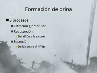 3 procesos
 Filtración glomerular
 Reabsorción
 Del riñón a la sangre
 Secreción
 De la sangre al riñón
 