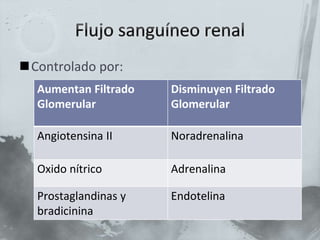 Controlado por:
Aumentan Filtrado
Glomerular
Disminuyen Filtrado
Glomerular
Angiotensina II Noradrenalina
Oxido nítrico Adrenalina
Prostaglandinas y
bradicinina
Endotelina
 