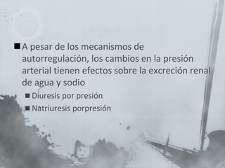A pesar de los mecanismos de
autorregulación, los cambios en la presión
arterial tienen efectos sobre la excreción renal
de agua y sodio
 Diuresis por presión
 Natriuresis porpresión
 