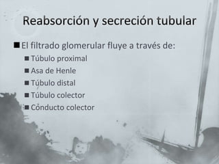 El filtrado glomerular fluye a través de:
 Túbulo proximal
 Asa de Henle
 Túbulo distal
 Túbulo colector
 Conducto colector
 