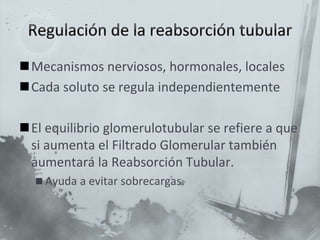 Mecanismos nerviosos, hormonales, locales
Cada soluto se regula independientemente
El equilibrio glomerulotubular se refiere a que
si aumenta el Filtrado Glomerular también
aumentará la Reabsorción Tubular.
 Ayuda a evitar sobrecargas.
 