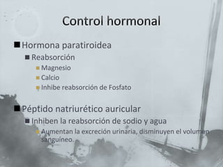 Hormona paratiroidea
 Reabsorción
 Magnesio
 Calcio
 Inhibe reabsorción de Fosfato
Péptido natriurético auricular
 Inhiben la reabsorción de sodio y agua
 Aumentan la excreción urinaria, disminuyen el volumen
sanguíneo.
 