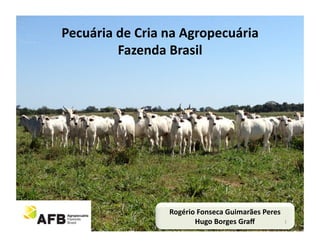 Pecuária	
  de	
  Cria	
  na	
  Agropecuária	
  
            Fazenda	
  Brasil	
  




                         Rogério	
  Fonseca	
  Guimarães	
  Peres	
  
                                Hugo	
  Borges	
  Graﬀ	
              1	
  
 
