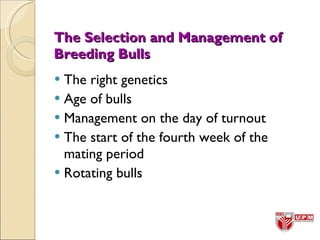 15 selection of breeders | PPT
