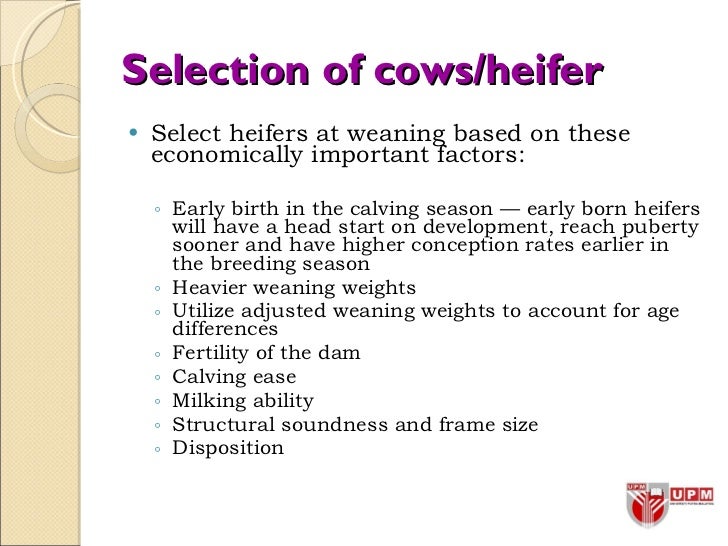 15 selection of breeders