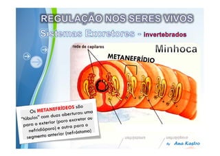 Powerpoint Templates
 