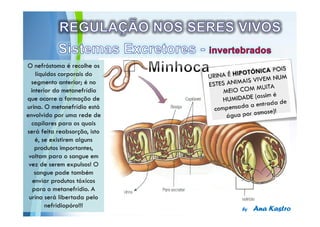 Powerpoint Templates
 