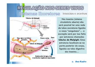 Powerpoint Templates
 