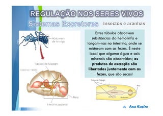 Powerpoint Templates
 