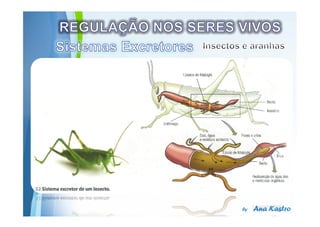 Powerpoint Templates
 