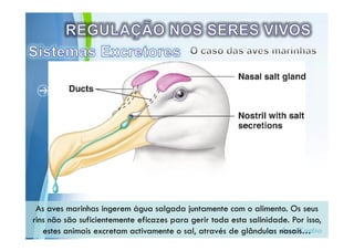 Powerpoint Templates
 