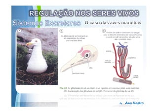 Powerpoint Templates
 