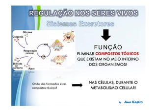 FUNÇÃO




Powerpoint Templates
 