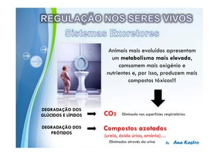 Powerpoint Templates
 