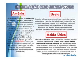 Powerpoint Templates
 