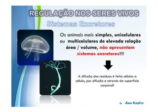 Powerpoint Templates
 