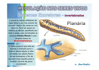 Powerpoint Templates
 