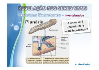 Powerpoint Templates
 