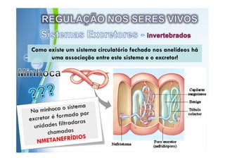 Powerpoint Templates
 