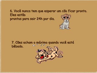 6. Você nunca tem que esperar um cão ficar pronto. Eles estão prontos para sair 24h por dia. 7. Cães acham o máximo quando você está bêbado. 