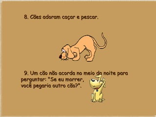    8. Cães adoram caçar e pescar.    9. Um cão não acorda no meio da noite para perguntar: "Se eu morrer, você pegaria outro cão?".   