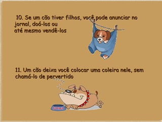   10. Se um cão tiver filhos, você pode anunciar no jornal, doá-los ou até mesmo vendê-los 11. Um cão deixa você colocar uma coleira nele, sem chamá-lo de pervertido 
