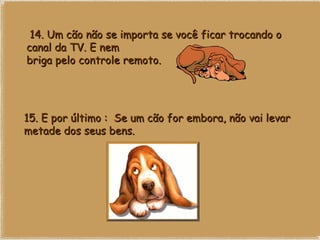   14. Um cão não se importa se você ficar trocando o canal da TV. E nem briga pelo controle remoto.   15. E por último :  Se um cão for embora, não vai levar metade dos seus bens. 