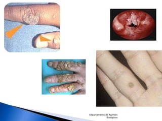 Departamento de Agentes Biológicos 