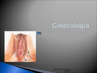 Departamento de Agentes Biológicos 