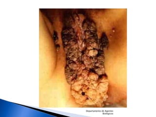 Departamento de Agentes Biológicos 