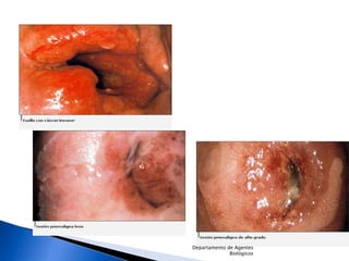 Departamento de Agentes Biológicos 