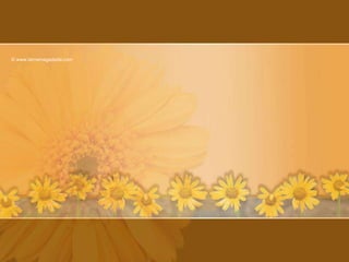 © www.tarnemagadeda.com
 