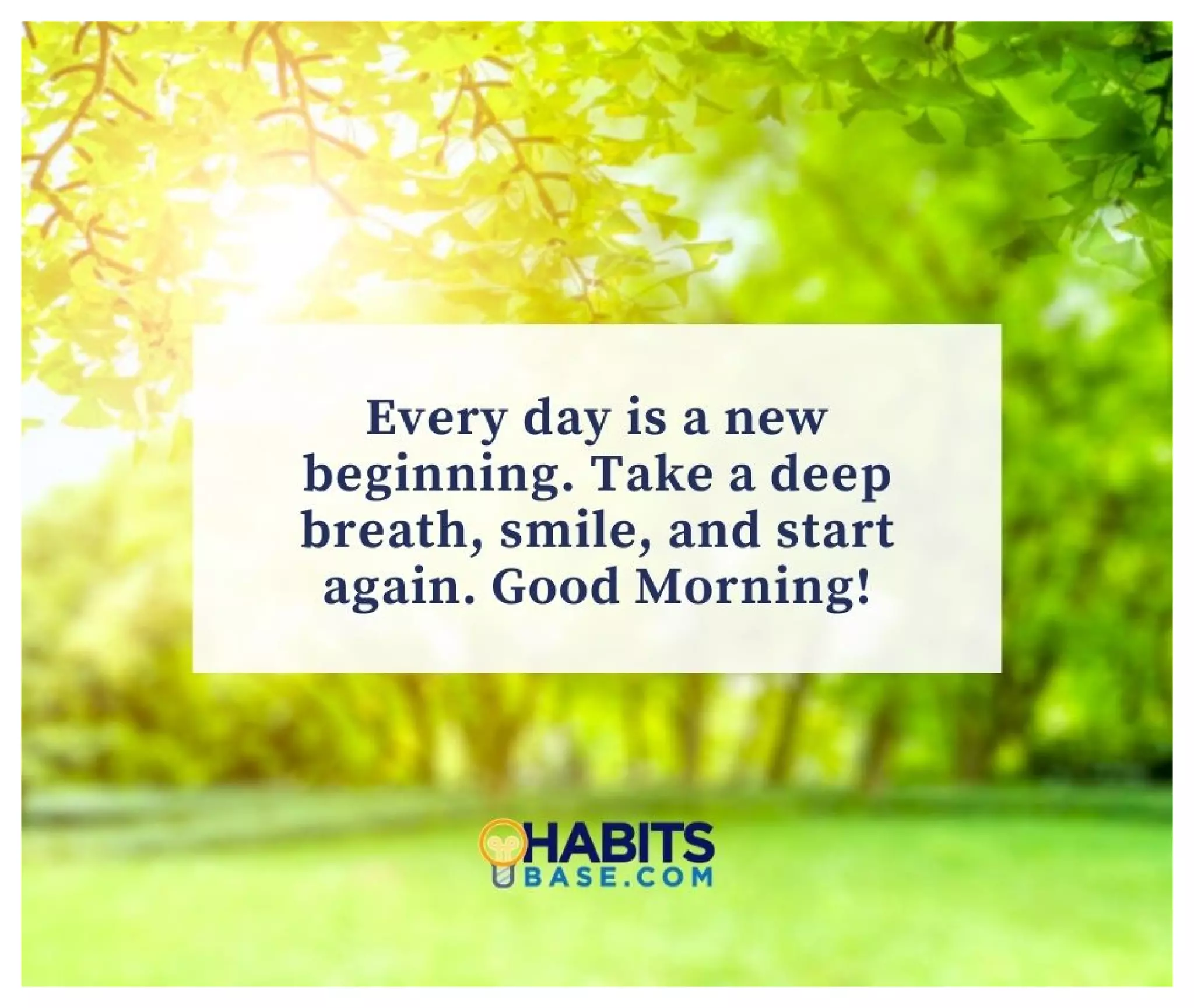 150 Beautiful Good Morning Quotes and Sayings to Inspire You Every Day ...