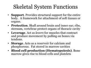 Skeletal System | PPT