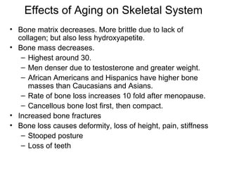 Skeletal System | PPT