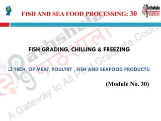 FISH AND SEA FOOD PROCESSING: 30
FISH GRADING, CHILLING & FREEZING
 TECH. OF MEAT, POULTRY , FISH AND SEAFOOD PRODUCTS:
(Module No. 30)
 