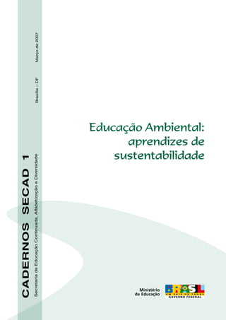 Brasília
–
DF	
Março
de
2007
CADERNOS
SECAD
1
Secretaria
de
Educação
Continuada,
Alfabetização
e
Diversidade
Educação Ambiental:
aprendizes de
sustentabilidade
 
